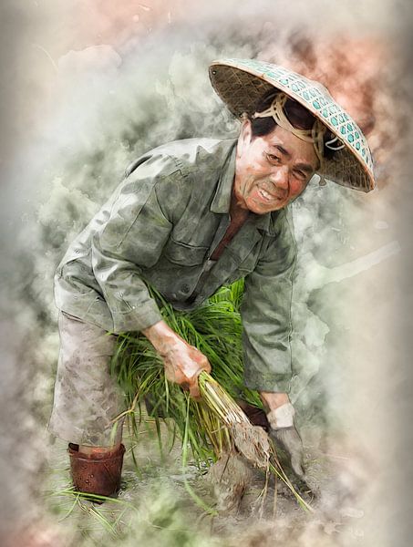 Reisfeld 2 von Danny Cullens