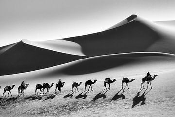 Sahara-Wüste, Kamelkarawane. Tuareg.