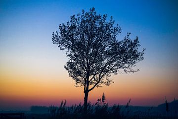 Sonnenuntergang Baum Blau Orange von Zwoele Plaatjes