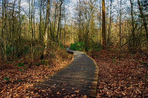 T Groenewoud Swalmen