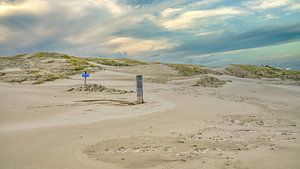 Littoral avec la plage de la mer du Nord et le paysage de dunes sur eric van der eijk
