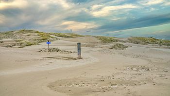 Littoral avec la plage de la mer du Nord et le paysage de dunes