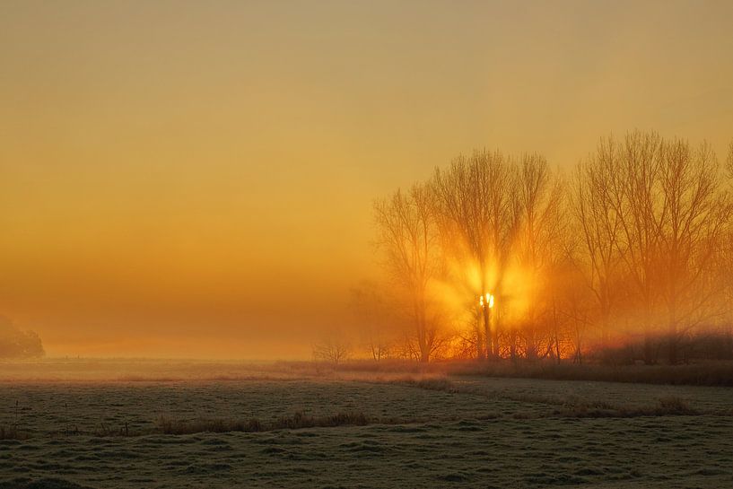 Sonnenaufgang von Tom Van Dyck