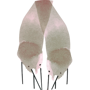 Komt wel goed schatje van Marije Kalshoven