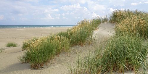 Strand, wolken en de zee