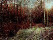 Mystischer Wald van Heidrun Carola Herrmann thumbnail