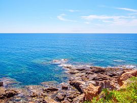 Livorno Baaien