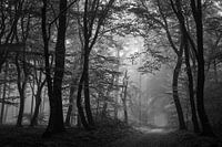 Speulderbos