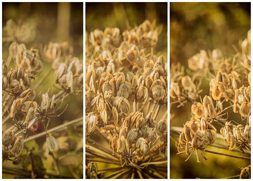 lauwersmeer triptych 9