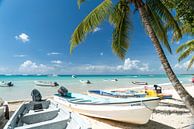 Bayahibe-strand, Dominicaanse Republiek, Caribisch gebied van Peter Schickert thumbnail