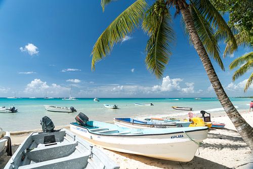 Bayahibe beach, Dominican Republic, Caribbean by Peter Schickert