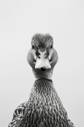 Ente
