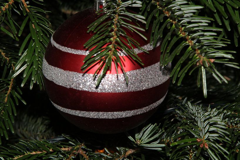 Christmas Ball by flip bezemer