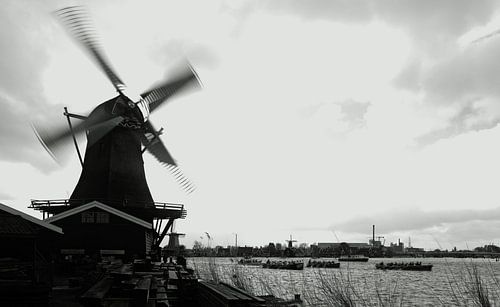 Wind über Zaandam