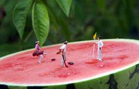 Melon Open