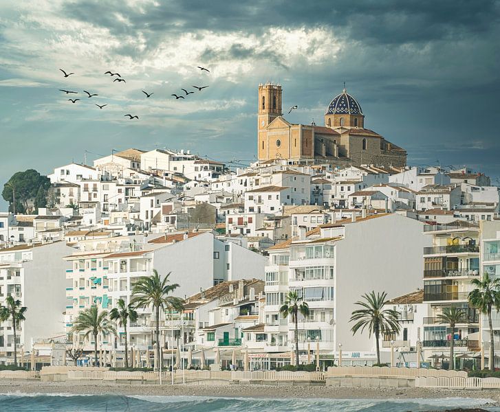 Altea van Jellie van Althuis