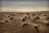 Desolate landscape