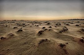 Desolate landscape van Edzo Boven