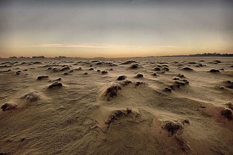 Desolate landscape by Edzo Boven