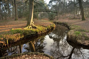 Sprengen in het Driebergse bos van Willem van Leuveren Fotografie