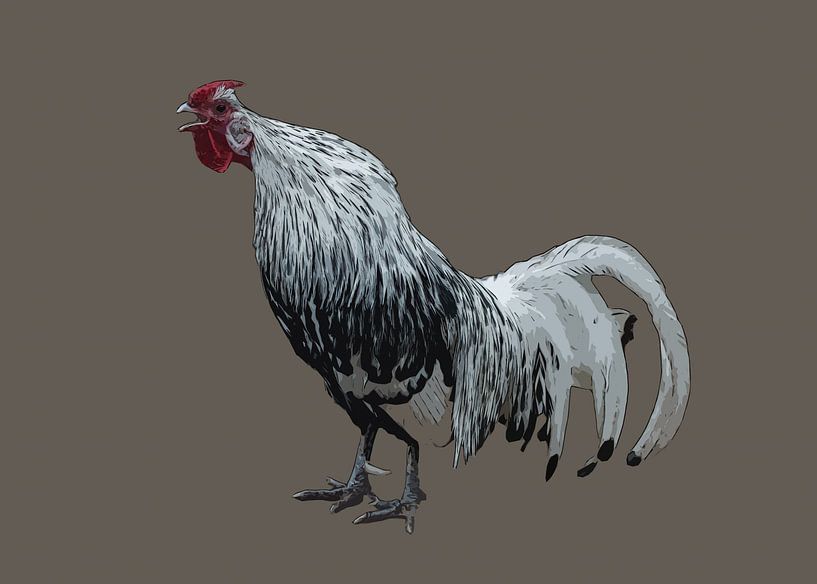 Zwart-witte haan par Awesome Wonder
