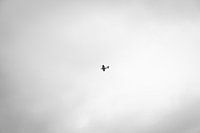 Ancien avion