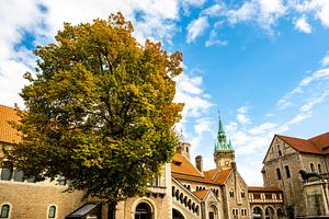 Château Dankwarderode et place du château à Braunschweig sur Dieter Walther