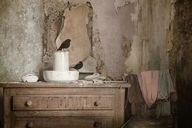 Bird bath by Iris van Heusden