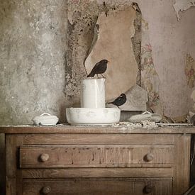 Bird bath by Iris van Heusden