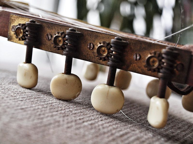 Tuningpegs on a banjo mandoline by Mr White Takes Pictures