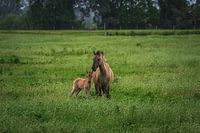 Mutter und Kind