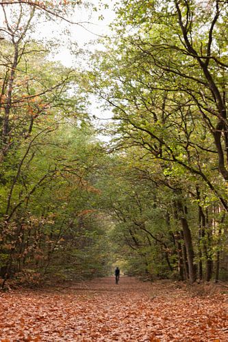 Eenzame fietser in de Herfst van Harld Roling