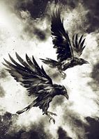 Ravens