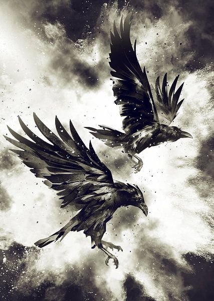 Ravens by Mateo