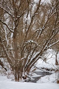 Verschneite Winterlandschaft mit Bachlauf