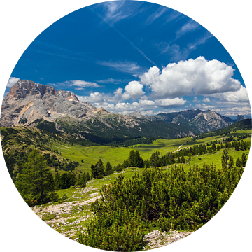 Plätzwiese Prato Piazza in Zuid-Tirol van Reiner Würz / RWFotoArt