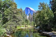 Half Dome im Yosemite National Park von Robert Styppa Miniaturansicht