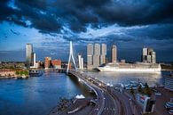 De Skyline van Rotterdam van Roy Poots thumbnail