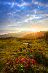 Sonnenaufgang auf der Lackenalm