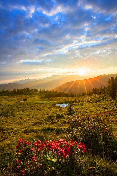 Sunrise on the Lackenalm by Christa Kramer