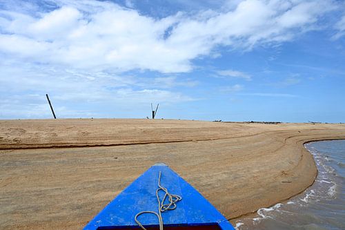 Korjaal aangemeerd aan zandkust