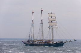 Just Sailing by Brian Morgan