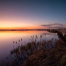 De brug over Het Dannemeer van P Kuipers
