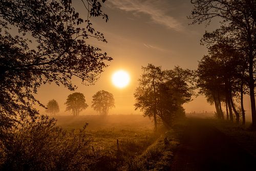 Sunrise in Roderwolde