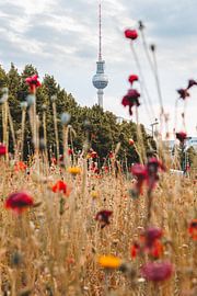 Splendeur florale à Berlin sur Robin Berndt