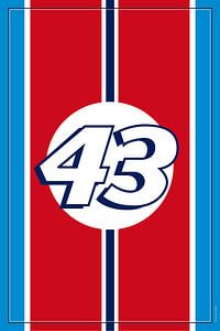 Richard Petty NASCAR, conception de voitures de course