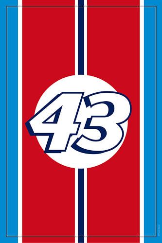 Richard Petty NASCAR, racewagenontwerp