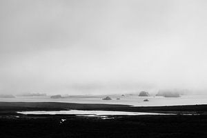 Eisberge im Nebel 2 von Ellen Zwagerman