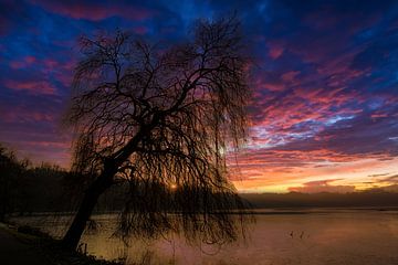 Zonsondergang achter treurwilg van Dieter Walther