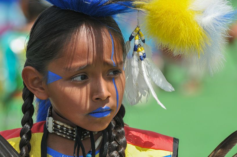 Blackfoot Indiaanse von Lex van Doorn